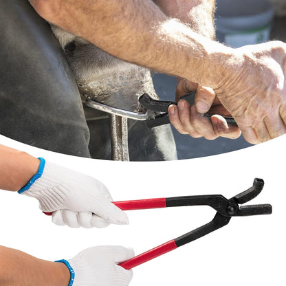 11pcs Farrier Tools Farrier kit Horse shoeing Tools Farrier Supplies Farrier Tools for Horses Cattle Sheep and Donkeys