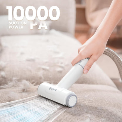 Pst Supplies Bundle:Pet Grooming Brush + Dog grooming vacuum & dryer