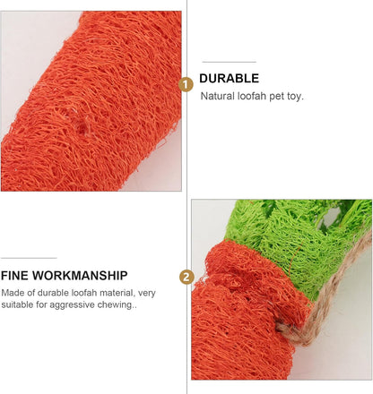Natural Loofah Carrot Pet Molar Chew for Rabbits and Dogs, 2Pcs Set, Safe Rabbit Biting and Hamster Chewing Supply for Small Animals’ Dental Health
