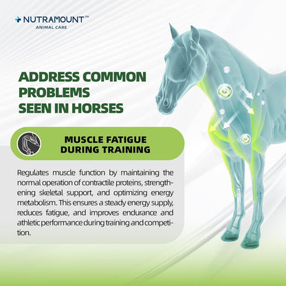 Horse Weight Gain Supplement – Omega-3 Flaxseed Formula, Natural High-Calorie Support for Healthy Weight & Shiny Coat, Easy-to-Digest High-Fat Horse Supplement – 420g