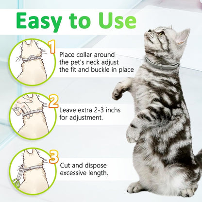 Flea and Tick Collar for Cats, 8 Months of Cat Flea Collar Protection Made with Premium Plant Based Essential Oil Natural Treatment Prevention Free Comb and Prevention Treatment Drop