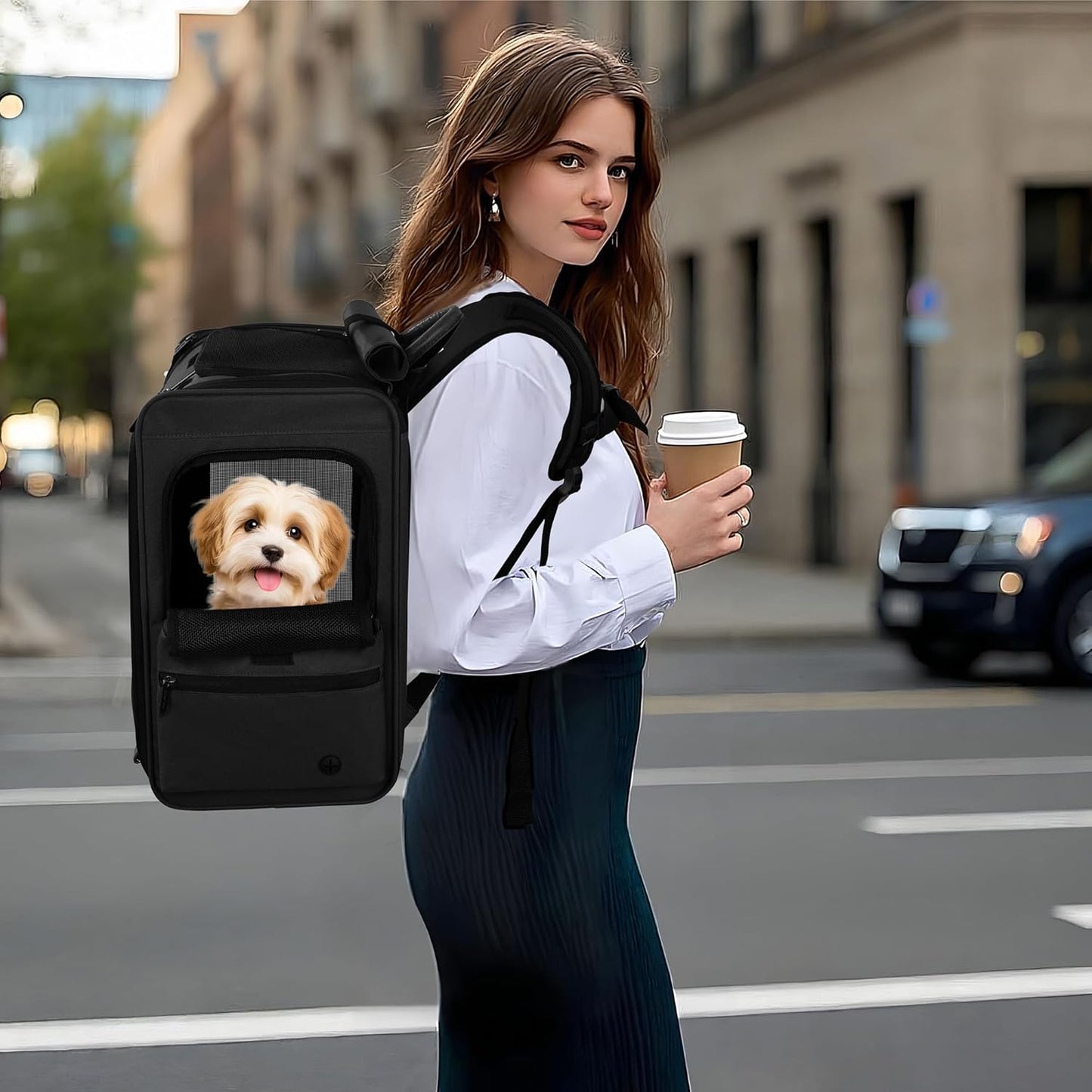 EliteField Deluxe Backpack Pet Carrier (3 Year Warranty, Airline Approved), Travel Soft-Sided Carrier Bag for Dogs, Cats & Small Pets