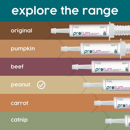 Veterinary Probiotics Paste for Dogs, Tasty Peanut Flavour for Fussy Eaters, Advanced Prebiotic Formula for Digestive Support - Aids Digestion, Diarrhea Treatment, Anti Sickness (60ml)