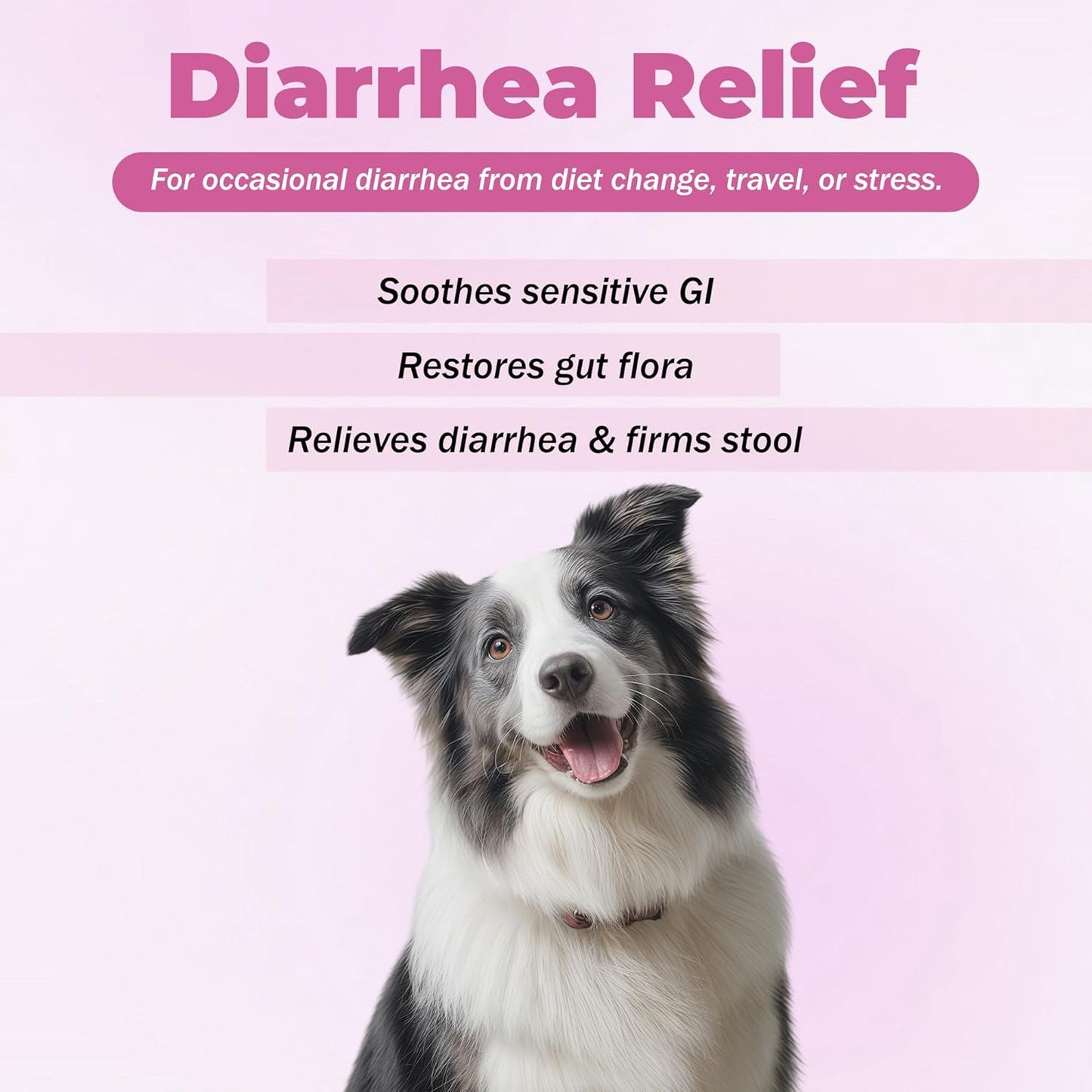 Probiotics for Dogs - Diarrhea Relief for Dogs and Cats - Supports Relief of Diarrhea and Loose Stools - Supports Digestive Balance and Gut Health - with Kaolin Clay and Probiotics - 300 Tablets
