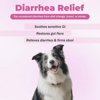 Probiotics for Dogs - Diarrhea Relief for Dogs and Cats - Supports Relief of Diarrhea and Loose Stools - Supports Digestive Balance and Gut Health - with Kaolin Clay and Probiotics - 300 Tablets