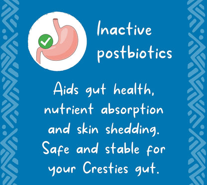 Crested Gecko Diet | Watermelon Burst | All Natural Low Fat Complete Gecko Food | 2.1oz