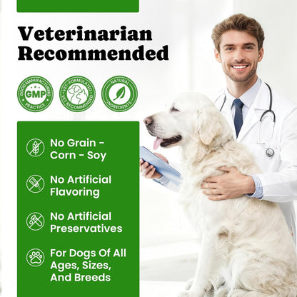 Probiotics for Dogs - Dog Probiotics Powder with 11 Strains, 4 Prebiotics & 5 Enzymes, Pet Probiotic Help Flora Balance, Digestion Health & Gut Support, Diarrhea and Yeast Infection -60 Single Packets