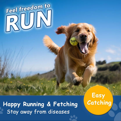 Tennis Balls for Dogs - 12 Pack 2.5'' Durable Non-Toxic Outdoor Dog Toys Balls with Mesh Bag, SGS Certified, Colorful Fetch Toys, Medium Large Breeds (Non Squeaky)