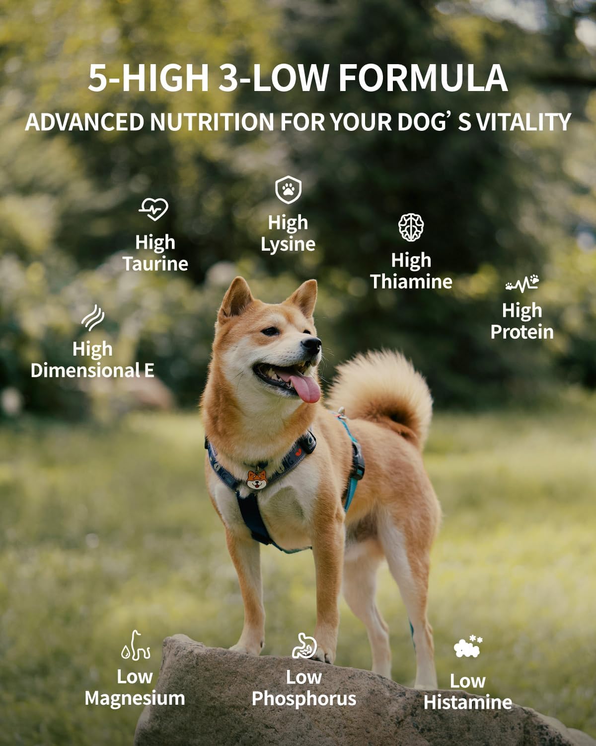 Freeze Dried Dog Treats, 94% Animal Origin Freeze Dried Raw Food, High Protein Healthy Food Toppers & Meal Mixers for Dog (Duck Recipe - 0.7Ounce)