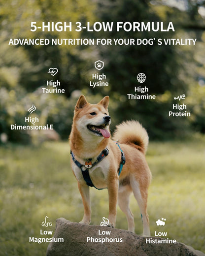 Freeze Dried Dog Treats, 94% Animal Origin Freeze Dried Raw Food, High Protein Healthy Food Toppers & Meal Mixers for Dog (Duck Recipe - 0.7Ounce)