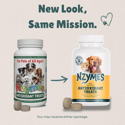 Nzymes® Antioxidant Treats - for Dogs Joints, HIPS, Paralysis, Skin, Coat, Hair Loss, Aging, Digestion, Neurological, Seizures - 60 Treats - Made in The USA