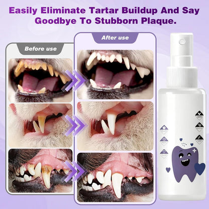 Pawbright Dental Plus, Natural, Odorless & Flavorless DentalWater Additive, Promote Healthy Gums & Freshen Breath, Dental Plus for Dog DentalWater Additive, Easy Daily Use for All Pet