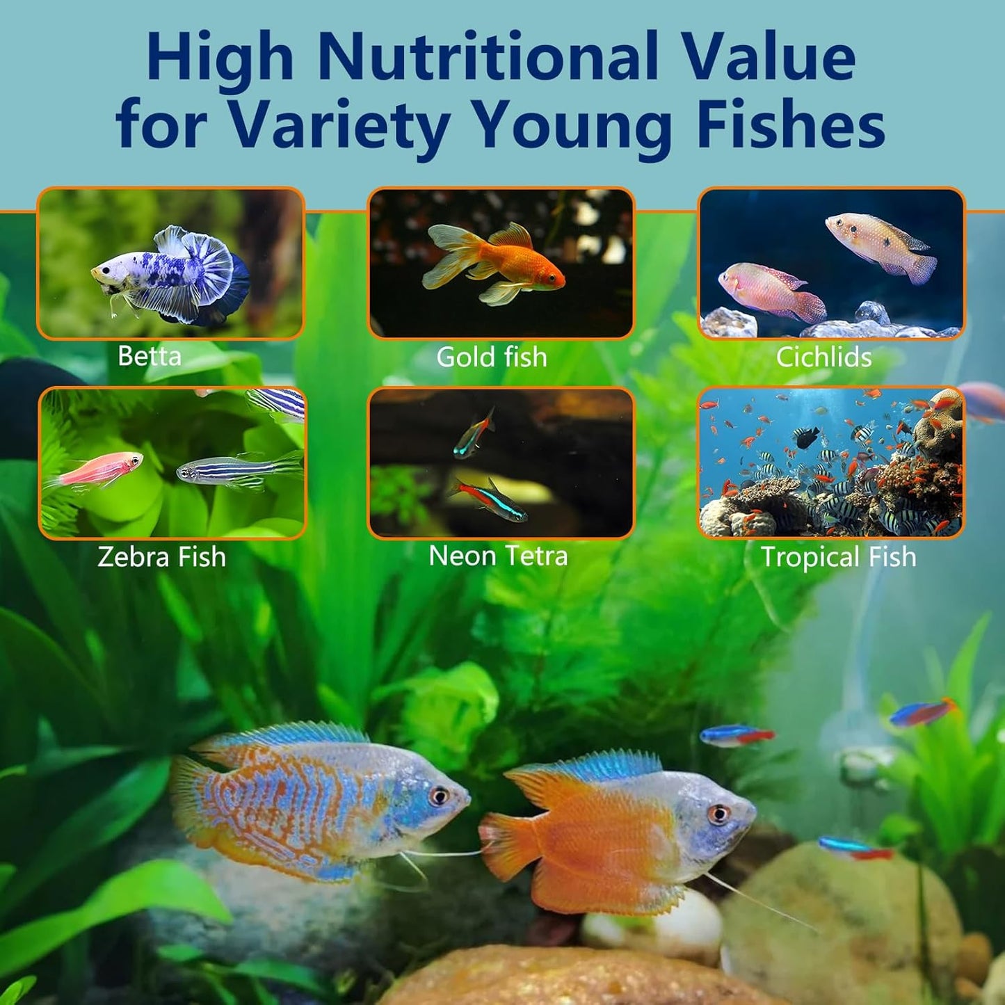 Brine Shrimp Eggs Fish Food - 90% Hatch Rate Artemia Cysts Aquatic Foods for Baby Aquarium Fish Freshwater Saltwater Fish 1 OZ