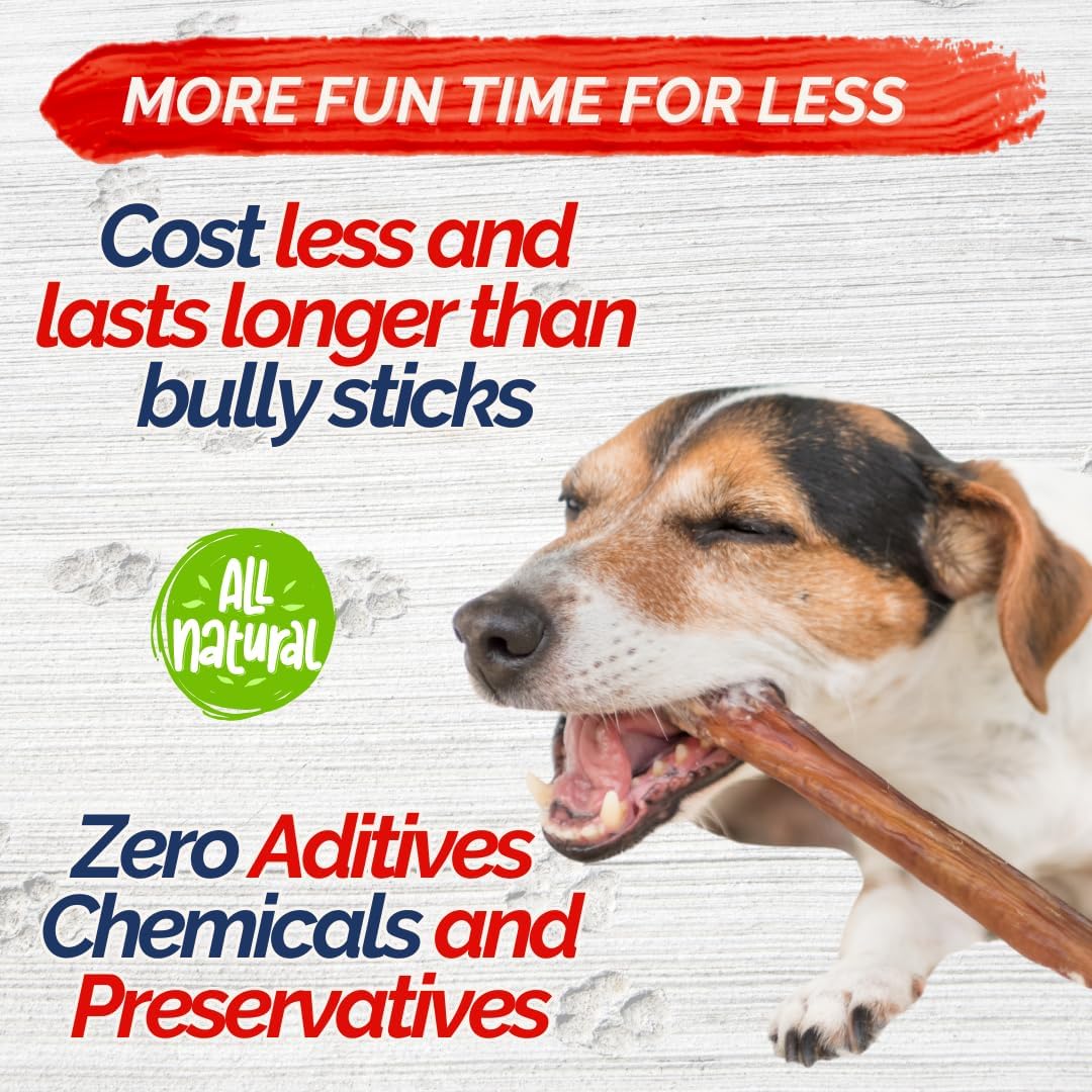 Braided Collagen Sticks for Dogs 10 Pack - 6 Inches - Long-Lasting Alternative to Bully Sticks, Rawhide-Free Collagen Chews w/Chondroitin & Glucosamine for Joint Support & Dental Health