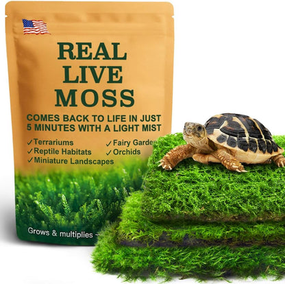 Live Moss Variety Pack for Reptiles– 3-Pack Mixed Real Terrarium Mosses (Each 3.5" x 7") – Live Sheet/Sphagnum Moss for Snake Gecko Turtle Frog Habitats, DIY Plant Décor – Fresh Reptiles Substrate