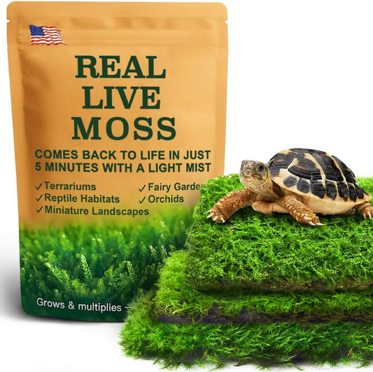 Live Moss Variety Pack for Reptiles– 3-Pack Mixed Real Terrarium Mosses (Each 3.5" x 7") – Live Sheet/Sphagnum Moss for Snake Gecko Turtle Frog Habitats, DIY Plant Décor – Fresh Reptiles Substrate