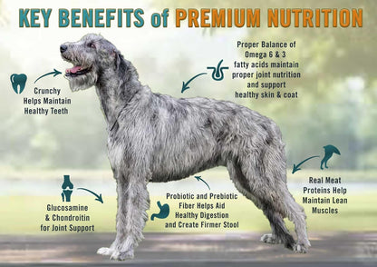 Chicken Soup for The Soul All Natural Premium Large Breed Adult Dry Dog Food, Real Meat First Ingredient, No by-Products, Supports Heart, Gut & Immune Health, Beef & Brown Rice, 28lb