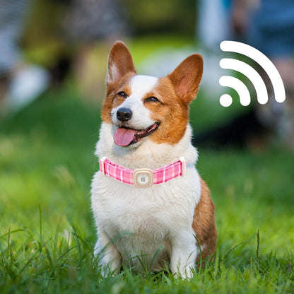 Lionheart Glory Pink Plaid Adjustable Dog Collar with Airtag Holder for Small Dogs