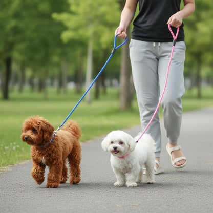 11-Piece Adjustable Dog Slip Leads 11 Colors, Nylon Easy On/Off, No Collar Needed, Super-Strong, Standalone Use. No-Pull Dog Slip Leads (for Small Dogs) High Value for Walking/Training