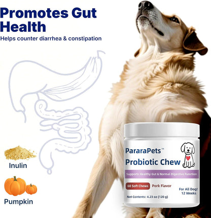 Probiotics for Dogs,Dog Gut Health Probiotics,Gastrointestinal Health Promotes Digestion and Nutrient Absorption, 60 Soft Chews
