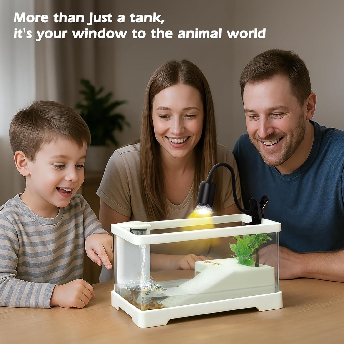 AZV Small Turtle Tank Kit,PC Starter Aquarium and Large Red Eared Slider Aquatic for Baby Tortoise,Fishes and Amphibians,Include Basking Pl