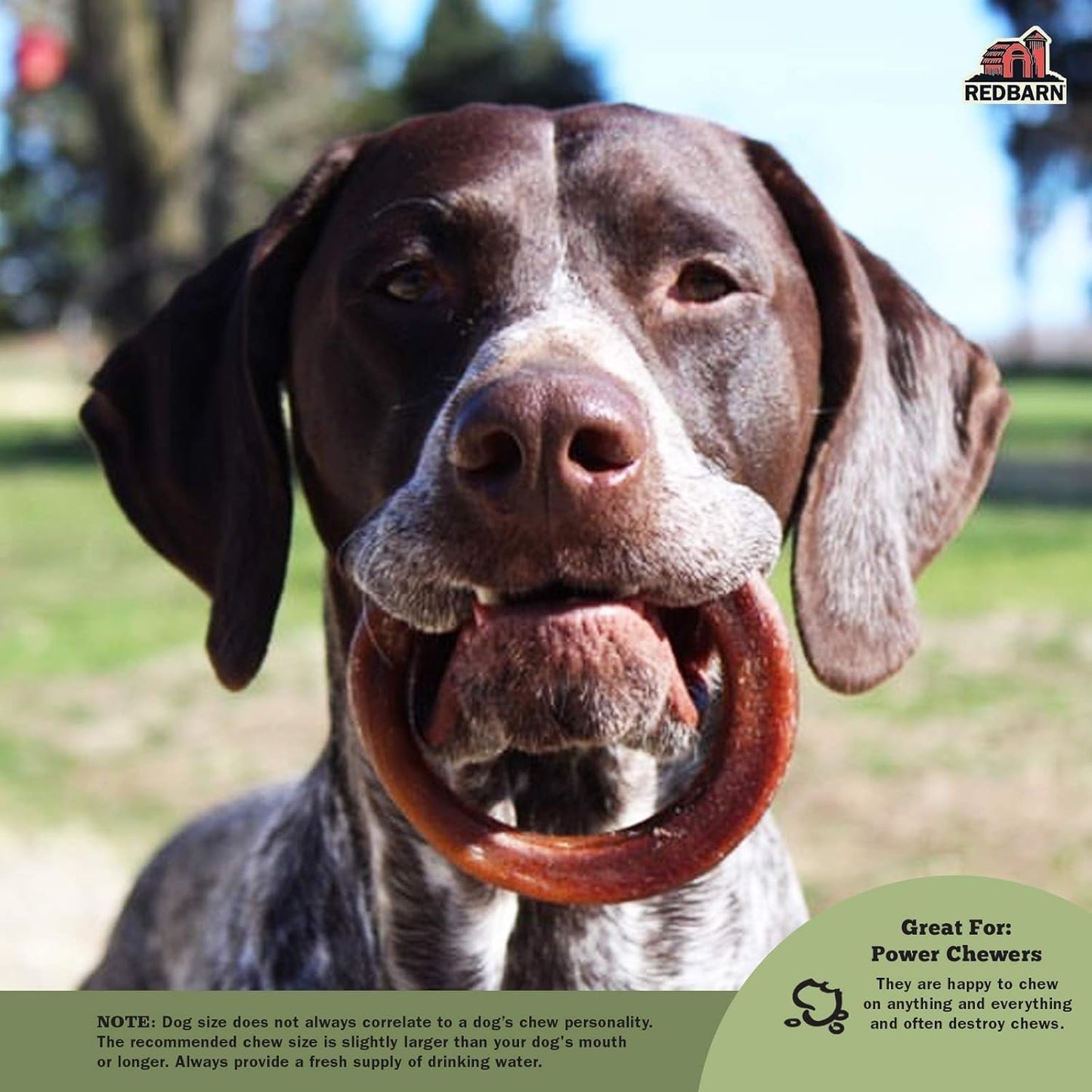 Redbarn Braided Bully & Bully Rings Value Bundle for Medium and Large Dogs - Single Ingredient Rawhide Free for Aggressive Chewers