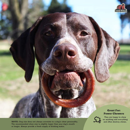 Redbarn Braided Bully & Bully Rings Value Bundle for Medium and Large Dogs - Single Ingredient Rawhide Free for Aggressive Chewers