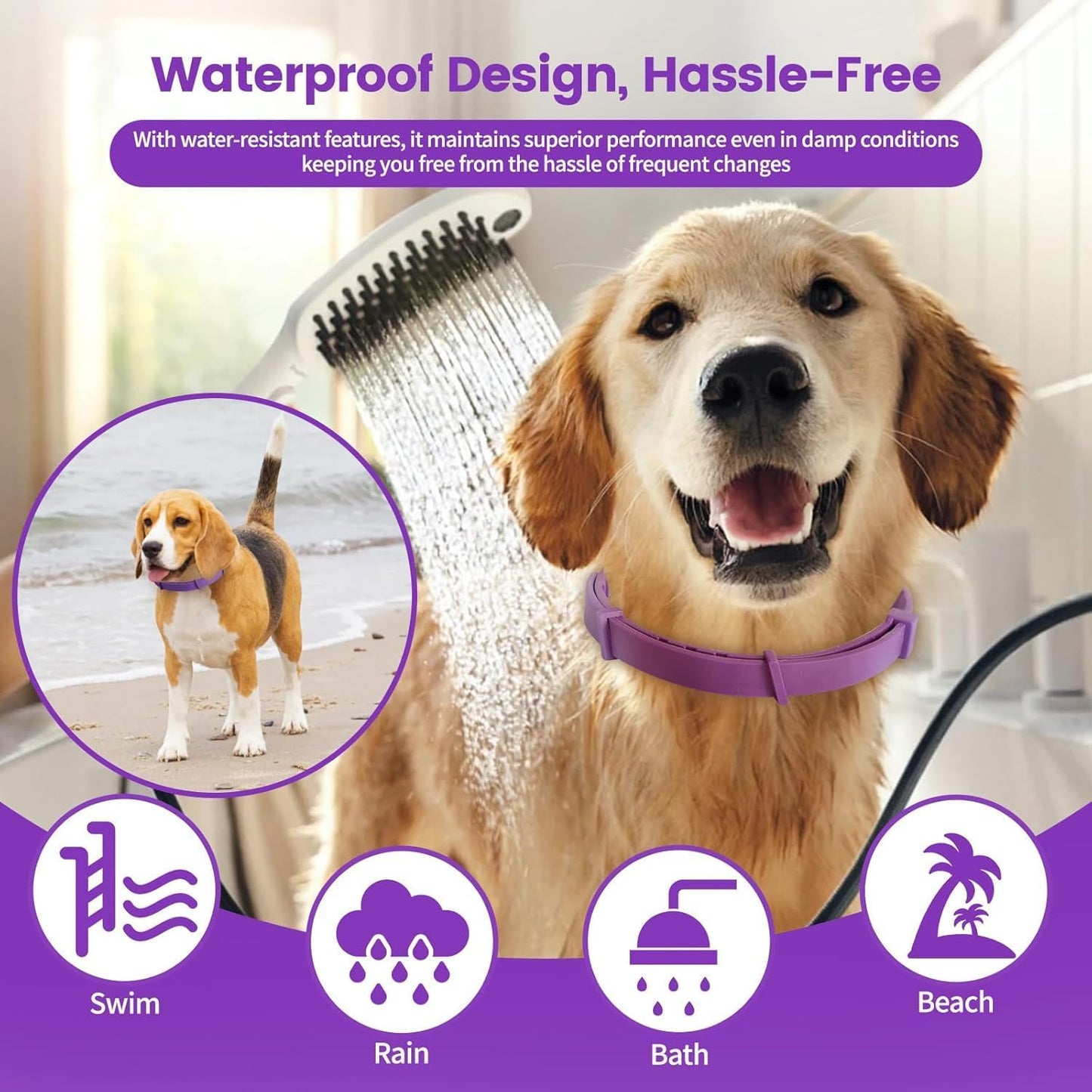 Calming Collar for Dogs,Rainbow Dog Calming Collars,Dog Pheromone Collar for Fast-Acting, Lasts 60 Days, Choke-Free Design,1 Pack Gift