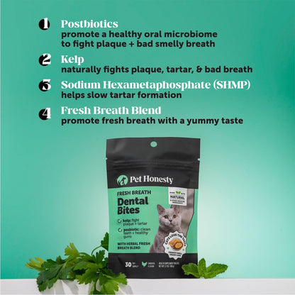 Fresh Breath Dental Bites for Cats – Crunchy & Creamy Cat Dental Treats for Fresh Breath, Tartar & Plaque Control – Dual-Texture Cat Oral Care Bites for Bright Teeth & Healthy Gums – 30 Day Supply