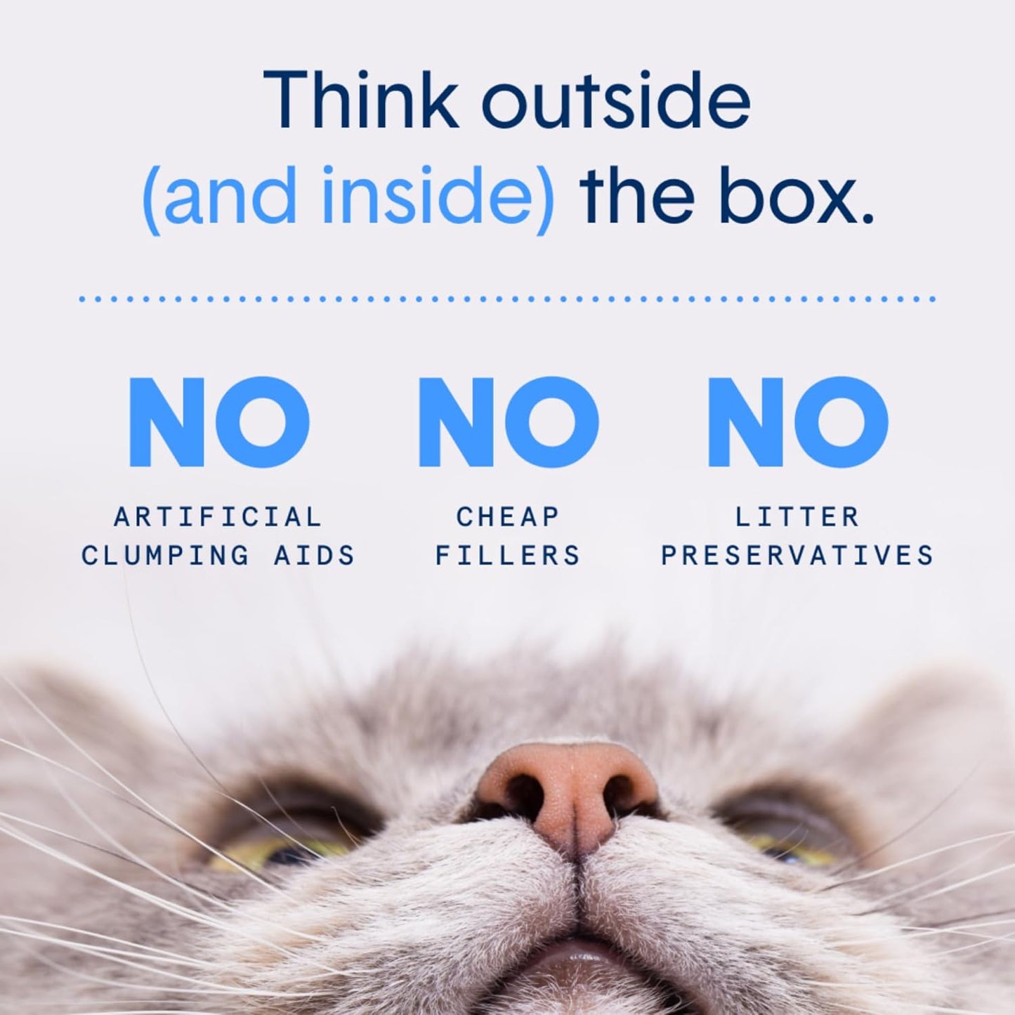 Boxie® Unscented 30 Day Natural Odor Control Cat Litter, 11.5lb Lightweight Plant Based Kitty Litter