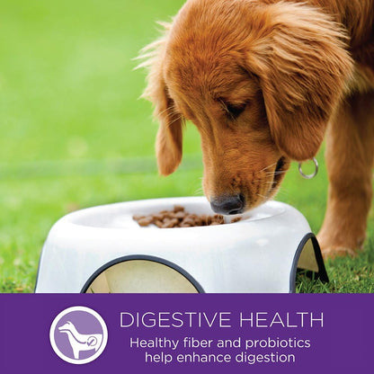 Wellness Natural Pet Food Complete Health Natural Dry Large Breed Puppy Food, Chicken, Salmon & Rice, 30-Pound Bag