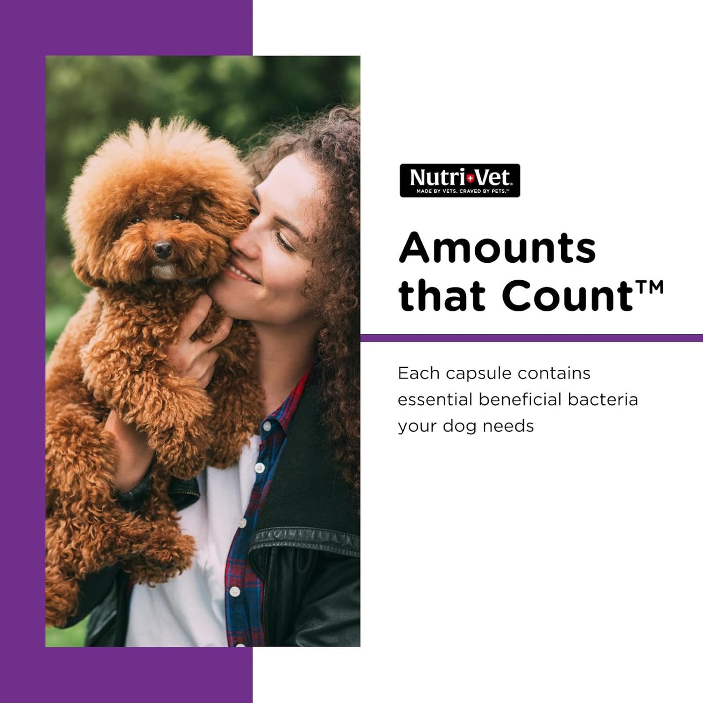 Nutri-Vet Probiotics for Dogs, Supports Digestive Health, Dog Probiotics, Promotes Healthy Immune System, Vet Formulated, Gut Health, Puppy Supplies, 60 Count Capsules