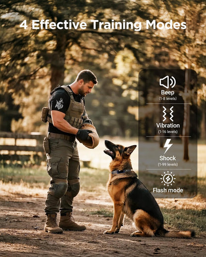 BLACKDOG Military Dog Shock Collar 2 Dogs (5-150lbs) - 4200ft Dog Training Collar with Remote, 4 Training Modes, Flashlight&Strobe, 90-Day Battery, IP67 Waterproof Dog E Collar for All Breeds (Blue)