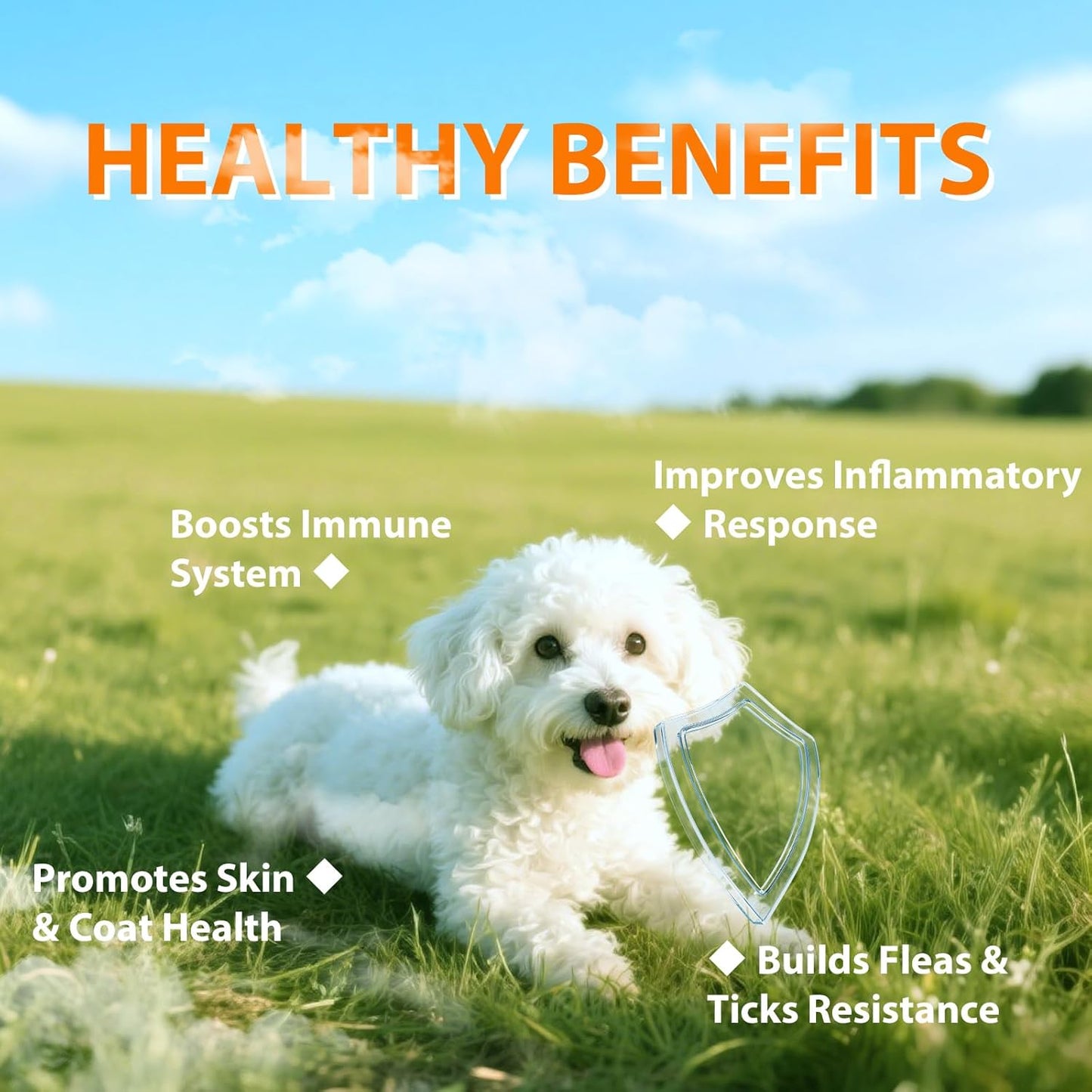 Flea and Tick Prevention for Dogs Chewables - 180 Treats - Natural Dog Flea and Tick Treatment Chewable Supplement for All Breeds & Ages - Soft Chews - Chicken Flavor