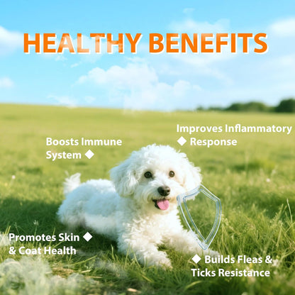 Flea and Tick Prevention for Dogs 180 Treats Natural Dog Flea and Tick Treatment Chewable Supplement for All Breeds & Ages Soft Chews - Chicken Flavor