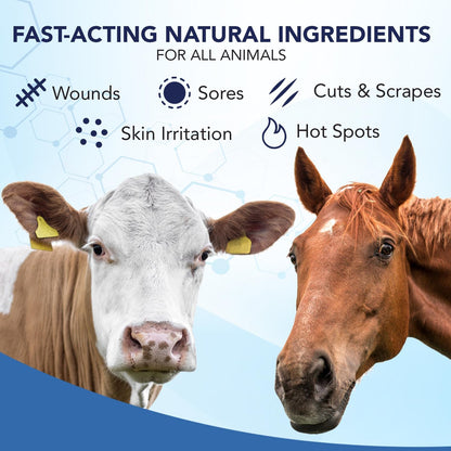 NOVEHA Pet Wound Spray - Sores, Abrasions and Wounds Care for Horse - Fast-Acting Skin Repair, Helps with Rashes, Hot Spots, Scratching, 6fl oz