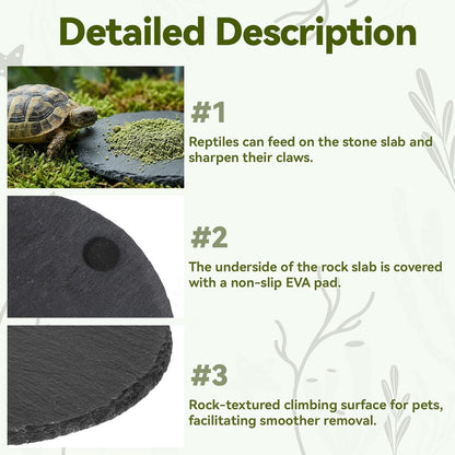 Reptile Basking Platform Rock Tortoise Turtle Rock Slate Plate Food Bowl Habitat Slate Bearded Dragon Basking Platforms Food Bowl Round Slates Tiles for Reptiles Crested Lizard FrogBearded, 6 × 6"