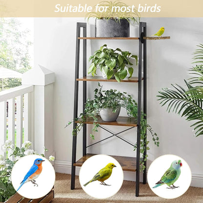 Strong Magnetic Bird Perch, Natural Wood Training Stand for Parrots, Parakeets, Lovebirds and Other Small Birds,No Drill Installation Fit for Indoor/Outdoor