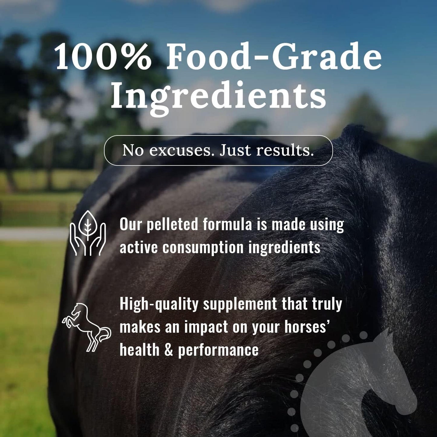 10# Mojo Horse Suppment with Food-Grade Mojo Dog and Cat Supplement
