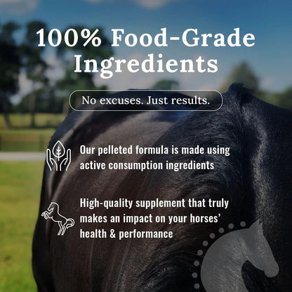 10# Mojo Horse Suppment with Food-Grade Mojo Dog and Cat Supplement