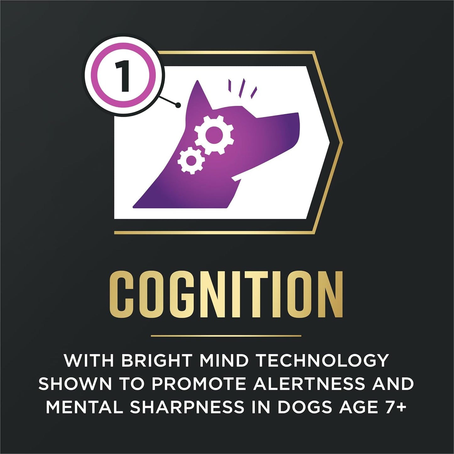 Purina Pro Plan AdvantEDGE Senior Support Plus Shredded Blend Chicken and Rice Formula Dry Dog Food - 22 lb Bag