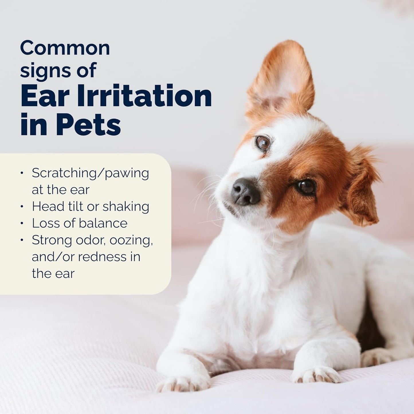 Vetnique Oticbliss Advanced Strength Medicated Dog Ear Infection Treatment, Antiseptic Ear Cleaner for Cat & Dog Ear Cleaning Solution Chlorhexidine & Ketoconazole (6oz Flush)