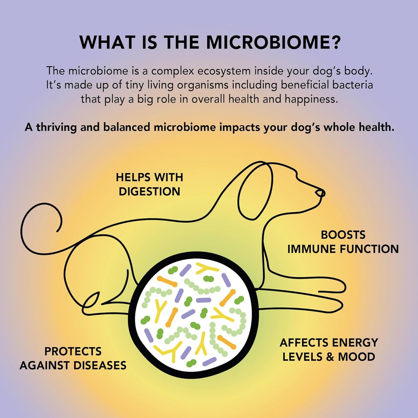 CRUMPS NATURALS Gutsy-Calm Bites 4.6oz/130g, Dog Treats, Supplements