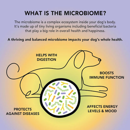 CRUMPS NATURALS Gutsy-Calm Bites 4.6oz/130g, Dog Treats, Supplements