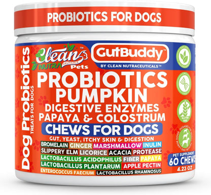 Gut Health Probiotics for Dogs + Pumpkin Colostrum Digestive Enzymes Ginger Slippery Elm Licorice Inulin Fiber Soft Chews Dog Probiotic Beef Flavor Digestion Supplement Treat Bites Large & Small Pets