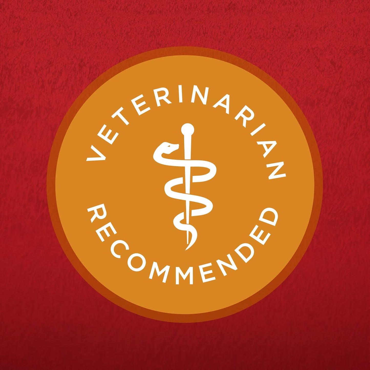 Purina ONE Chicken and Rice Formula Dry Dog Food - 16.5 lb. Bag