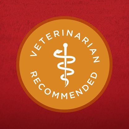 Purina ONE Chicken and Rice Formula Dry Dog Food - 16.5 lb. Bag