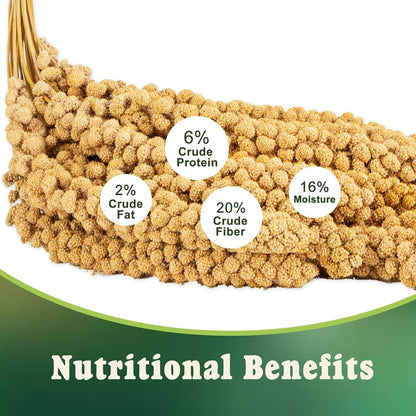 RANZ 1LBS Spray Millet Treat for Pet Birds, Hand-Harvested Bird Snack, Natural Sun-Dried Millet Spray for Parakeets, Parrots, Cockatiels, Lovebirds, Budgies, Finches, Canaries