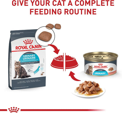 Royal Canin Feline Care Nutrition Urinary Care Adult Dry Cat Food, 6 lb Bag