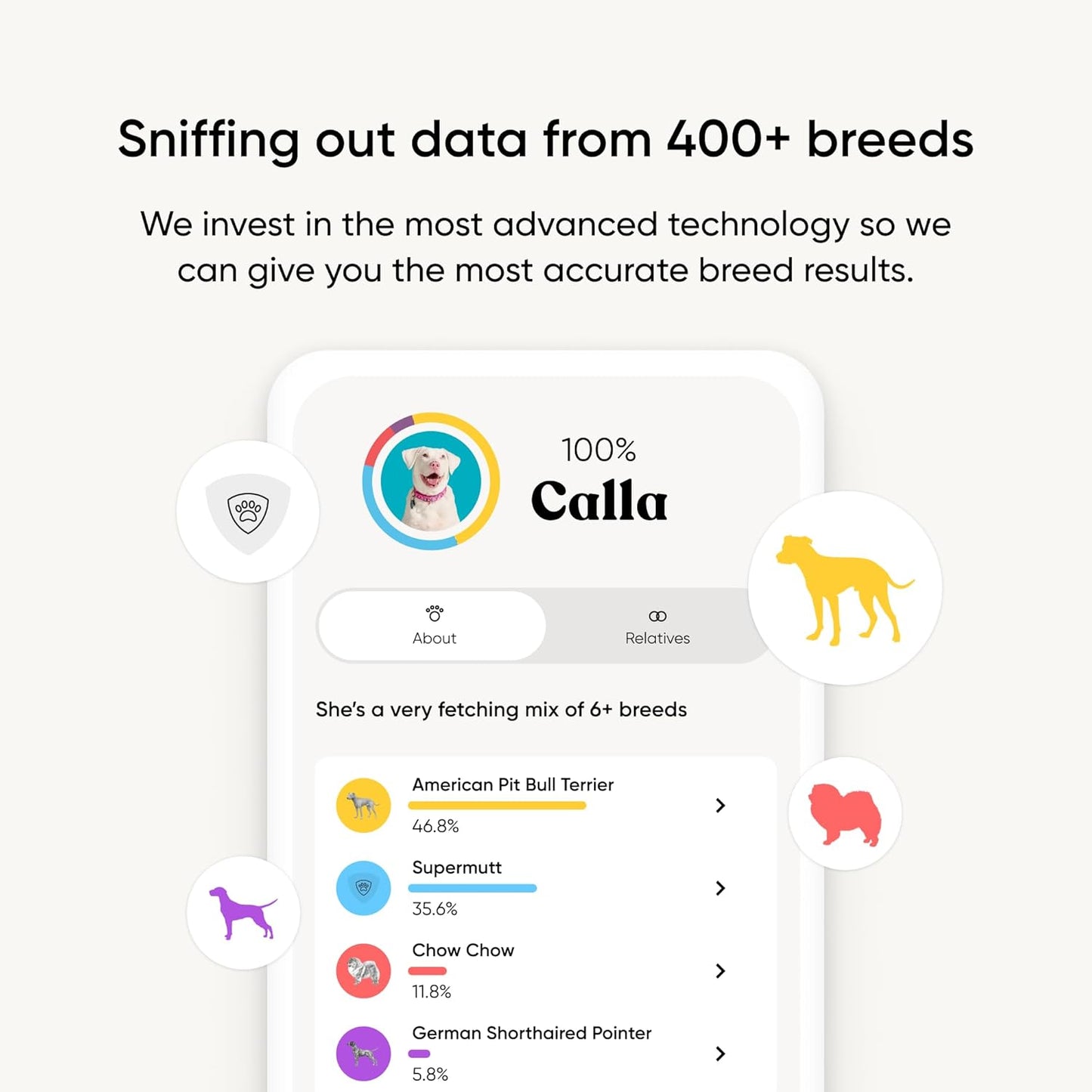 Embark Breed Identification Kit - Most Accurate Dog DNA Testing Kit - 99% Breed Ancestry Accuracy for Mixed Breed Dogs - Plus Relative Finder & Family Tree